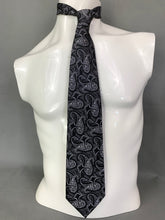 Load image into Gallery viewer, JOSE PISCADOR Paisley Pattern TIE
